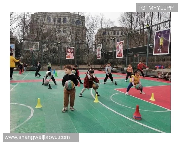 我在阳光下挥洒汗水学会了打篮球的快乐与成长