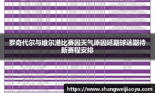 罗奇代尔与维尔港比赛因天气原因延期球迷期待新赛程安排